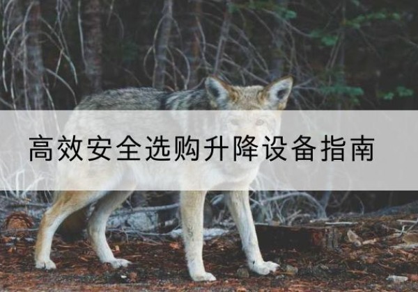 融水升降货梯厂家推荐-*安全选购升降设备指南