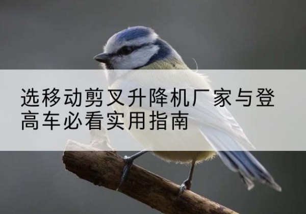 融水电动升降机厂家-选移动剪叉升降机厂家与登高车必看实用指南
