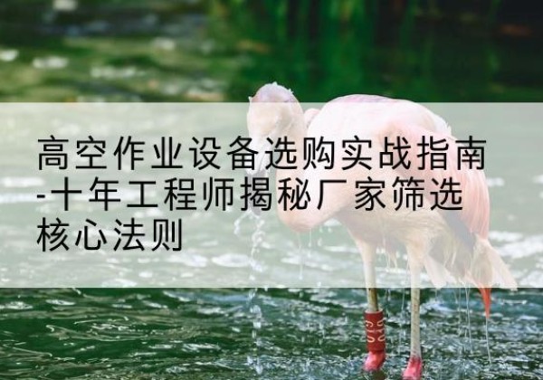 融水剪叉式升降机厂家-高空作业设备选购实战指南-十年工程师揭秘厂家筛选核心法则